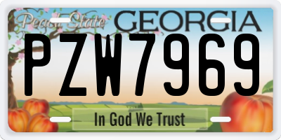 GA license plate PZW7969