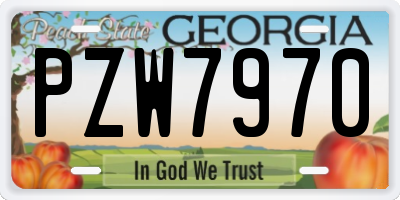 GA license plate PZW7970