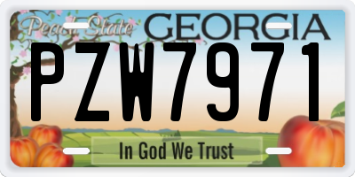 GA license plate PZW7971