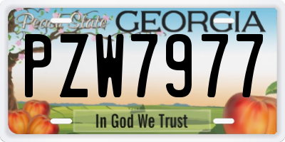 GA license plate PZW7977