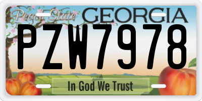 GA license plate PZW7978