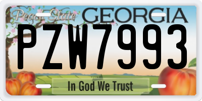 GA license plate PZW7993