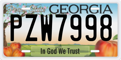 GA license plate PZW7998