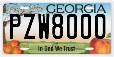 GA license plate PZW8000