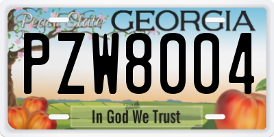 GA license plate PZW8004