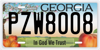 GA license plate PZW8008