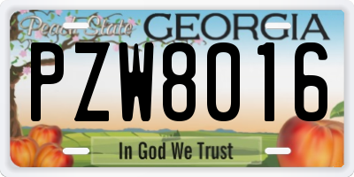 GA license plate PZW8016