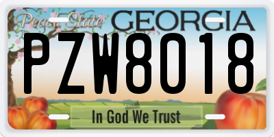GA license plate PZW8018