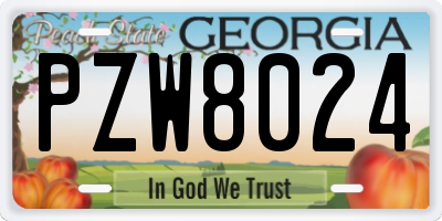 GA license plate PZW8024