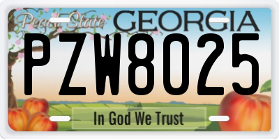 GA license plate PZW8025