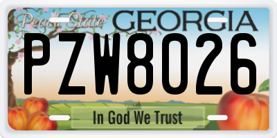 GA license plate PZW8026