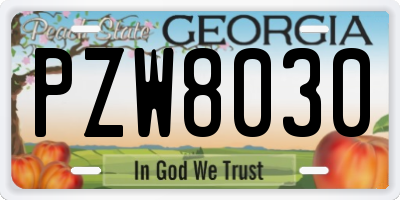 GA license plate PZW8030