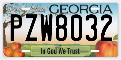 GA license plate PZW8032