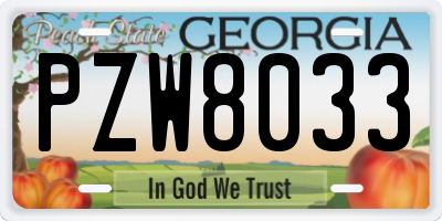 GA license plate PZW8033