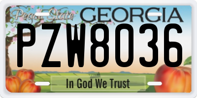GA license plate PZW8036