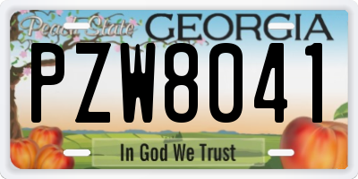 GA license plate PZW8041