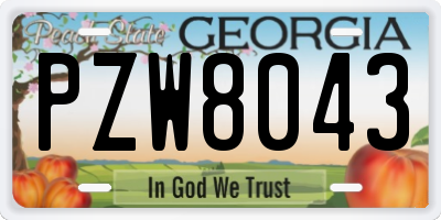 GA license plate PZW8043