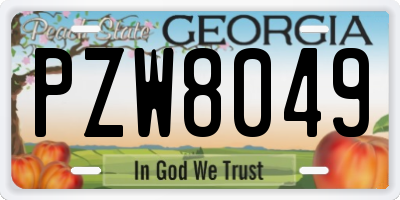 GA license plate PZW8049