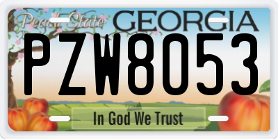 GA license plate PZW8053