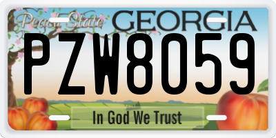GA license plate PZW8059