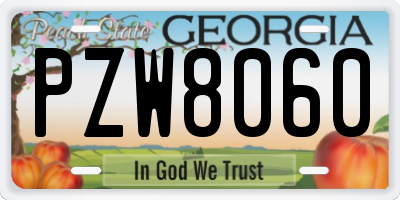 GA license plate PZW8060