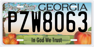 GA license plate PZW8063