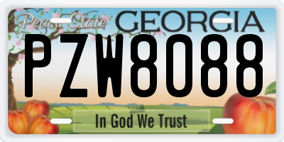 GA license plate PZW8088
