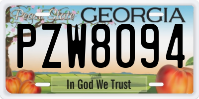 GA license plate PZW8094