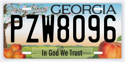 GA license plate PZW8096