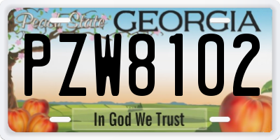GA license plate PZW8102