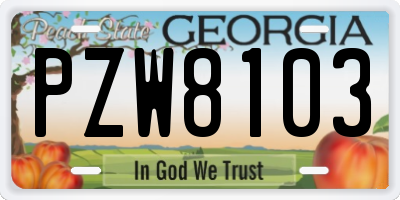 GA license plate PZW8103
