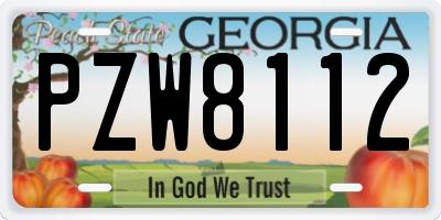 GA license plate PZW8112