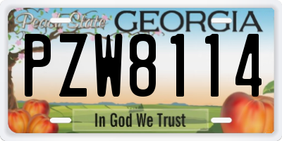 GA license plate PZW8114
