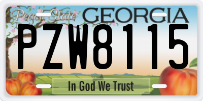 GA license plate PZW8115
