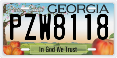 GA license plate PZW8118