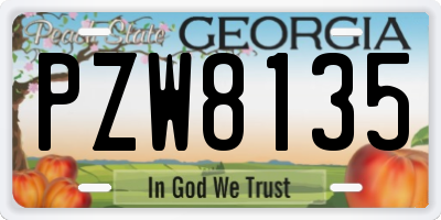 GA license plate PZW8135
