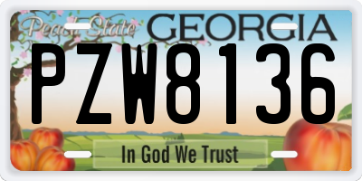 GA license plate PZW8136