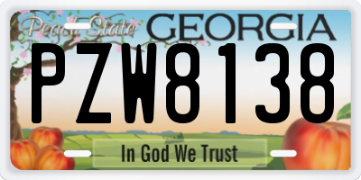 GA license plate PZW8138