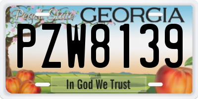 GA license plate PZW8139