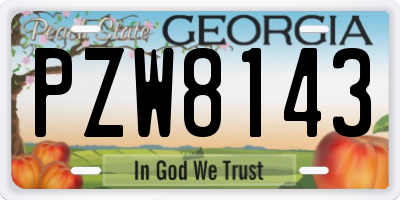 GA license plate PZW8143