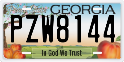 GA license plate PZW8144
