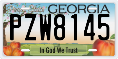 GA license plate PZW8145