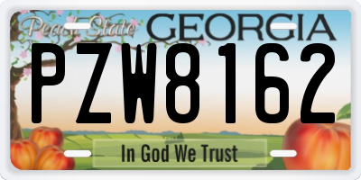GA license plate PZW8162