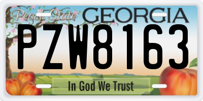 GA license plate PZW8163