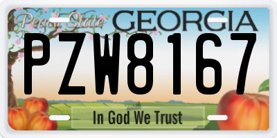 GA license plate PZW8167