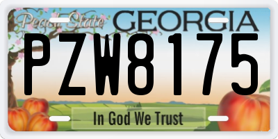 GA license plate PZW8175