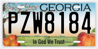 GA license plate PZW8184