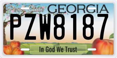 GA license plate PZW8187