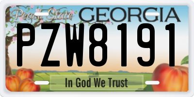 GA license plate PZW8191