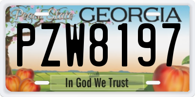 GA license plate PZW8197